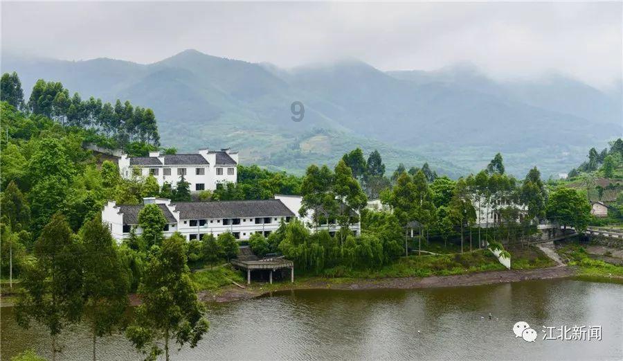 聚焦女方父母最后上台的握手顺序是怎样的?,疑问皆解答