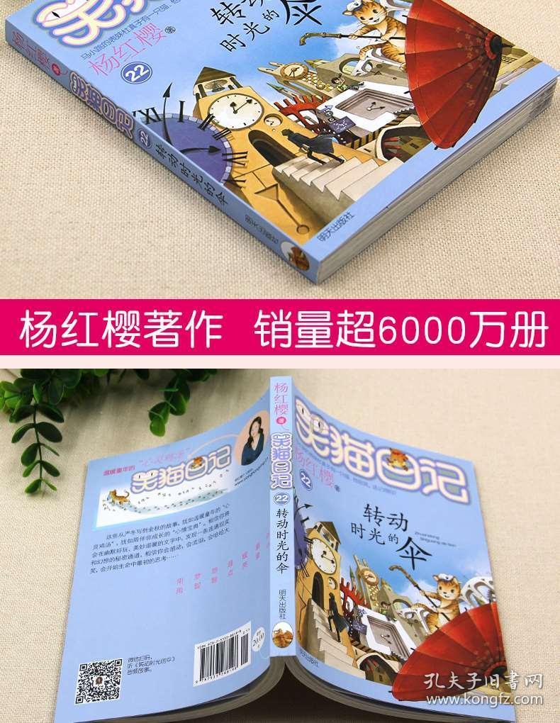 混乱特工