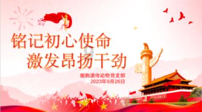 蓝点的冒险