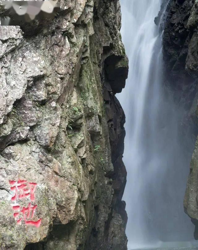 大遗址森林逃生
