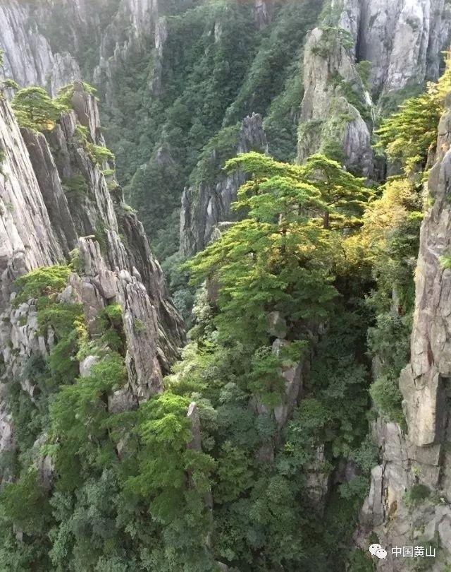 探探猫宝石岛