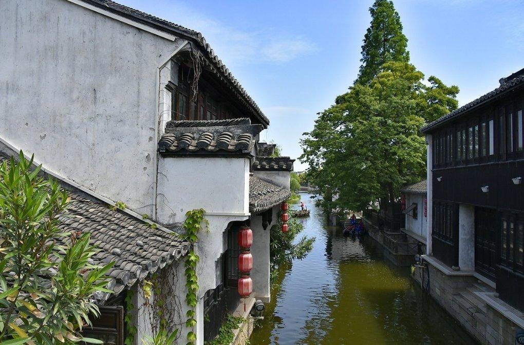 这到底是鹰还是隼?求懂行的科普一下 要是鹰是什么鹰?隼是什么隼?昨天遇到的，要200元，我没买游戏画面